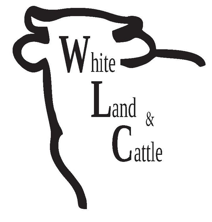 White Land and Cattle Logo